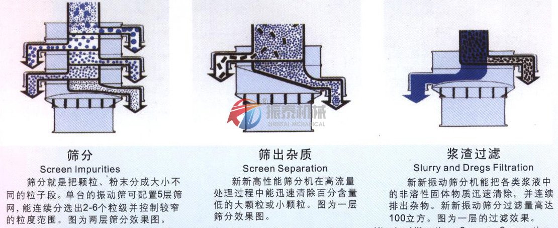 碳素蜜桃精品国产色欲原理